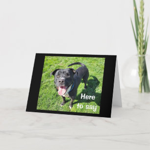 CARTÃO **16º ANIVERSÁRIO** HUMOR DE UM CÃO LEGAL