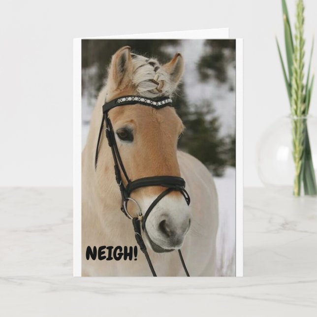 CARTÃO ***16º ANIVERSÁRIO*** WOW DIZ CARTA DE CAVALO SURP (Frente)