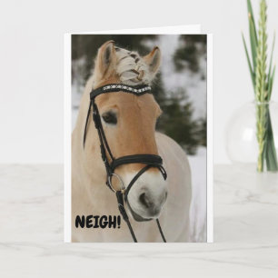 CARTÃO ***16º ANIVERSÁRIO*** WOW DIZ CARTA DE CAVALO SURP