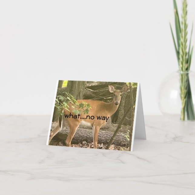 CARTÃO **16º** DESEJOS DE ANIVERSÁRIO A PARTIR DE CERVEJA (Frente)