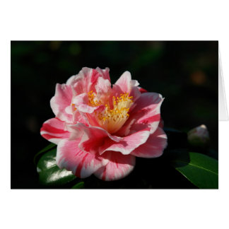 Cartão 167 - Personalizado