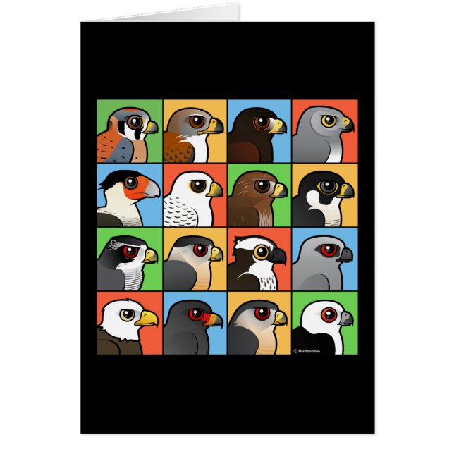 Cartão 16 perfis norte-americanos do raptor (Frente)