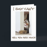 Cartão ***16th*** HUMOR DE ANIVERSÁRIO=CAT FICANDO CHEIO<br><div class="desc">ENVIE HOJE!!!!! ESTE CARTÃO É MUITO ENGRAÇADO,  NÃO ACHA?? ADORO FAZER CARTÕES E A MINHA www.zazzle.com/OverWhatHill loja tem sido FAVORITA MINHA junto com todos os "9" porque eu amo CARTÕES DIFERENTES,  ENTÃO VOCÊ OBTÉM O QUE VOCÊ "PRECISA" E O QUE VOCÊ "QUER"</div>