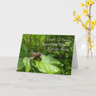 Cartão 17º aniversário de Cicada