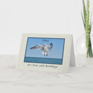 Cartão 18.ª Placa de aniversário com Pássaro Gull Rindo