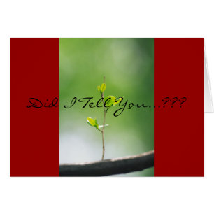 Cartão 18:21 dos provérbio - amor