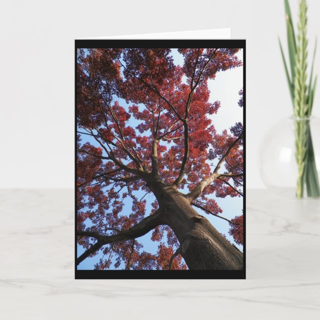 Cartão ~ 18 do outono (Frente)