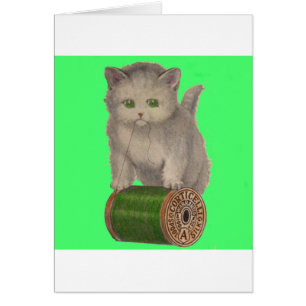 Cartão 1930 Gato branco de Corticelli