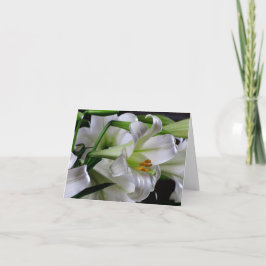 Cartão #1 00678900 da páscoa