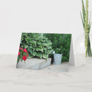 Cartão 1 Corinthians 3:7, Água e Plantas