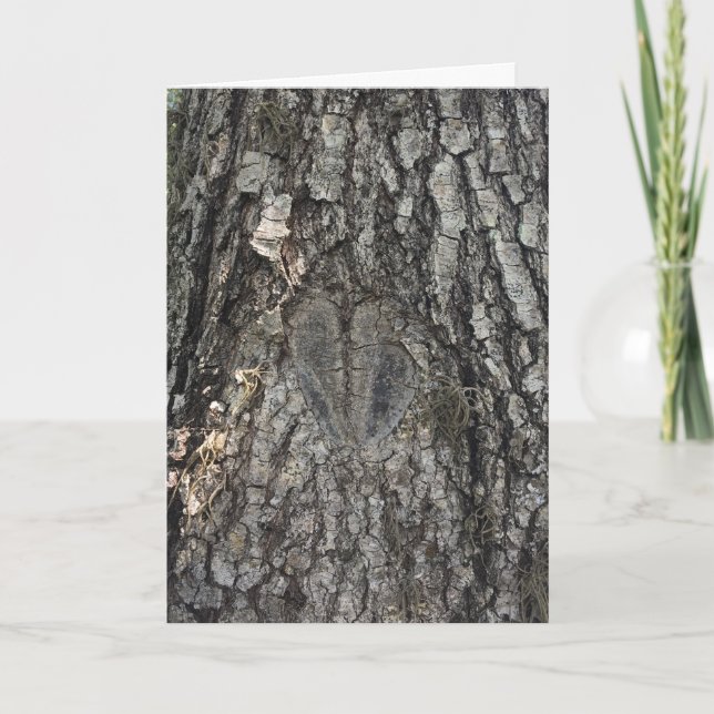 cartão #1 do coração da árvore (Frente)