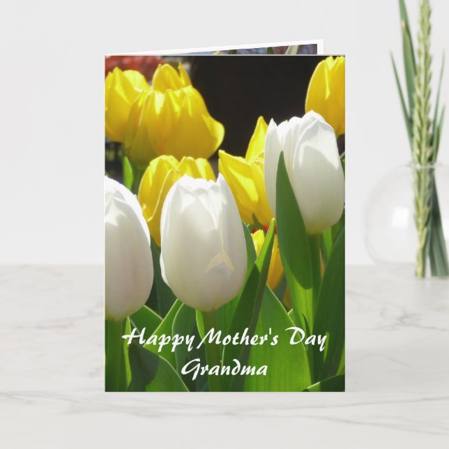 Cartão (1) do neto à avó (Frente)