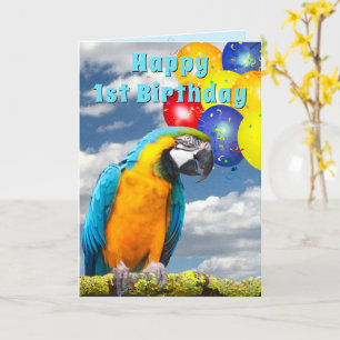 Cartão 1st Birthday Parrot Colorful Balloons Card