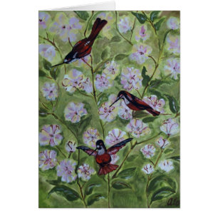 Cartão 2007_Hummer_Blossoms
