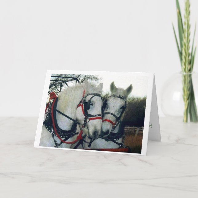 Cartão 2010 do feriado (Frente)