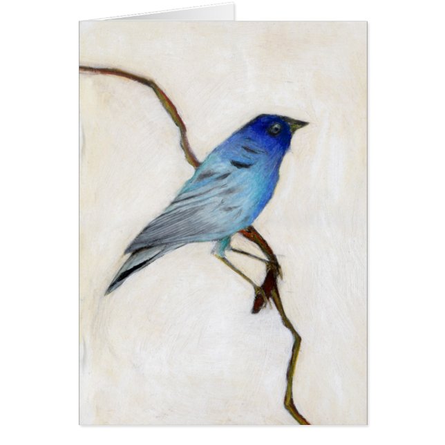 Cartão 2012 pouco azul (Frente)