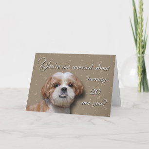 Cartão 20 Birthday Dog