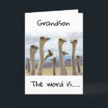 CARTÃO **21** VOCÊ É AGORA UM ADULTO LEGAL **GRANDSON** C<br><div class="desc">FELIZ ANIVERSÁRIO ***GRANDSON*** OBRIGADOS PARA PARAR POR UMA DAS MINHAS OITO LOJAS!</div>