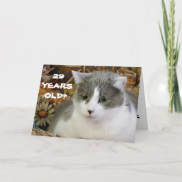 Cartão 29? Você tem que ser Kitten Me
