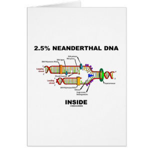 Cartão 2,5% Interior do ADN do Neanderthal (réplica do
