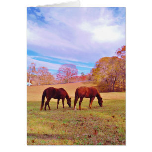 Cartão 2 Cavalos castanhos num campo de cor