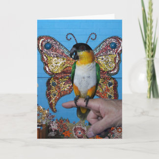 Cartão 2 da borboleta de Boingo