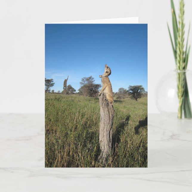 Cartão 2 de KMP - Monkulus (Frente)