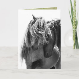 Cartão 2 Sable Island Stallions Wilse Horse Greeting Card