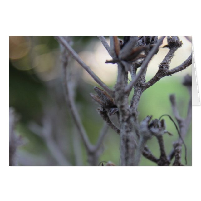 Cartão 30 de abril — Sticks (Frente Horizontal)