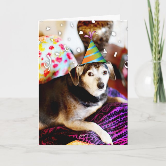 Cartão 311 Eu me aposentei! Eu podia fazer xixi com entus (Frente)