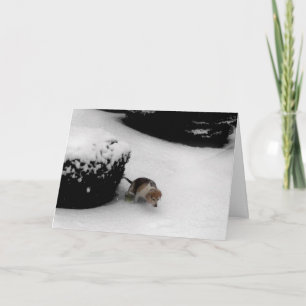 Cartão 311-Graduação Parabéns