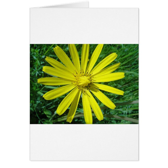 CARTÃO 318.JPG (Frente)