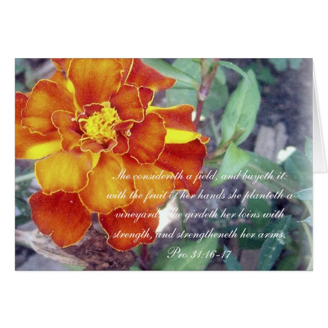 Cartão 31:16 do ~ da coleção dos provérbio 31 pro - 17 (Frente Horizontal)