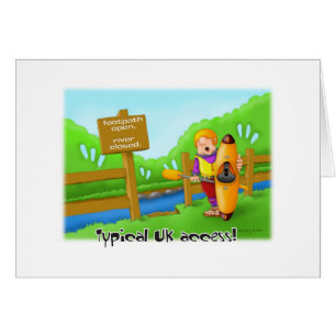 Cartão 33_Access