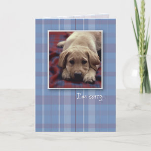 Cartão 3756 I'm Sorry Puppy