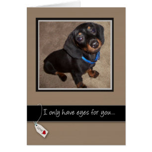 Cartão 3938 Ama Você Cachorro