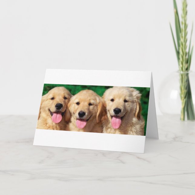 Cartão 3 amigo (Frente)