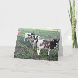 Cartão 3 cabras cumprimentos de aniversário