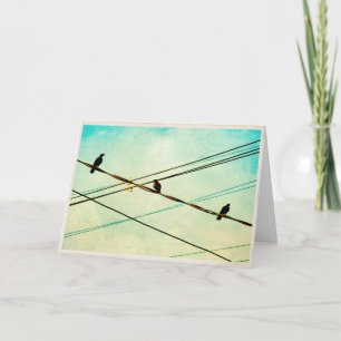 Cartão 3 Cawing Crows on a Wire Blank Greeting Card