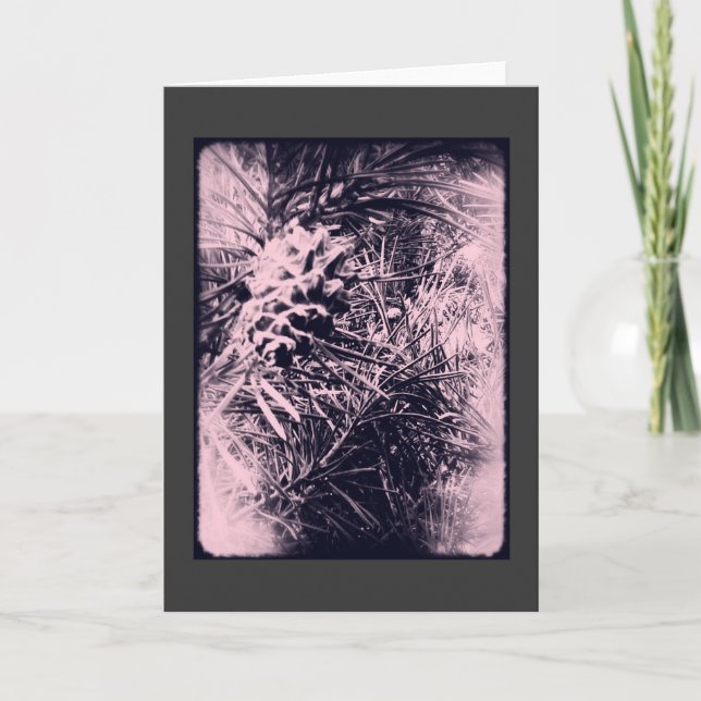 Cartão 3 do EverGreen 6 (Frente)