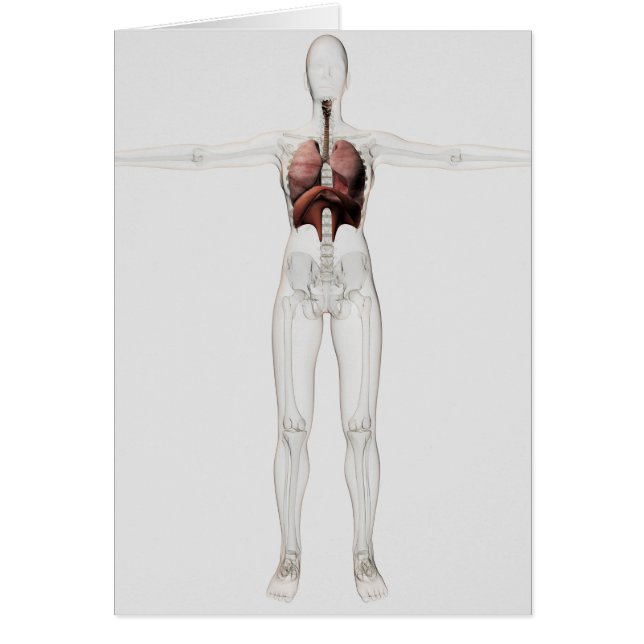 Cartão 3D Vista Do Sistema Respiratório Feminino (Frente)