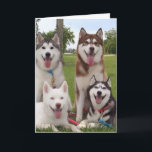 CARTÃO *** 40º** HUMOR DE ANIVERSÁRIO DO GRUPO DE HUSKEY<br><div class="desc">EXCELENTE COMO GRUPO PARA ENVIAR PARA UM ANIVERSÁRIO ***40th** (QUE VOCÊ PODE MUDAR A IDADE) OU ENVIAR A SI MESMO. ESTE CARTÃO TERÁ CERTEZA DE SER "AMADO" POR AMANTES DE CÃO EM QUALQUER LUGAR :)</div>