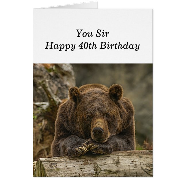 Cartão 40º sobre a colina Um urso Grizzly Sério (Frente)
