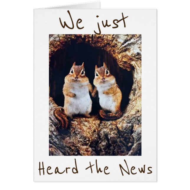 CARTÃO *40* NÃO RUIM...BE *CHIPPER* DIZ CHIPMUNKS (Frente)