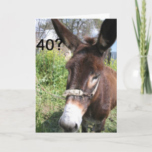 CARTÃO 40? NUNCA TERIA ADIVINHADO!