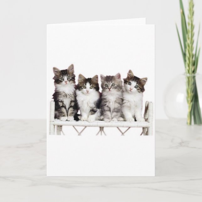 Cartão 4 gatinhos num banco (Frente)