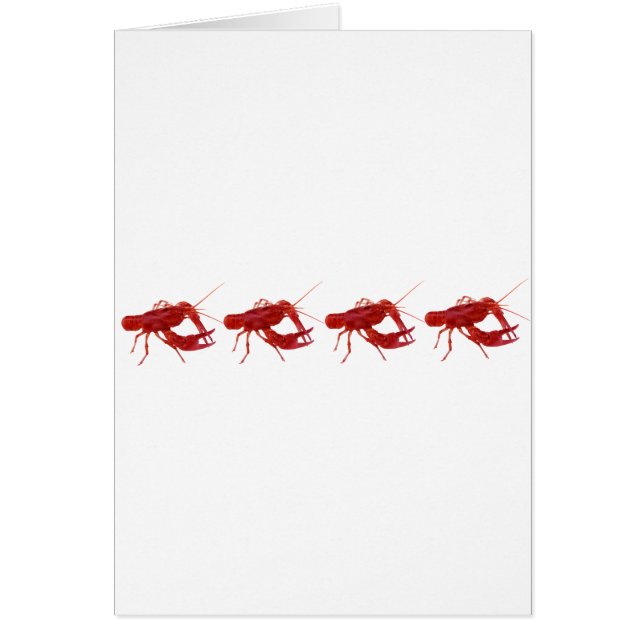 Cartão 4 lagostins cozinhados (Frente)