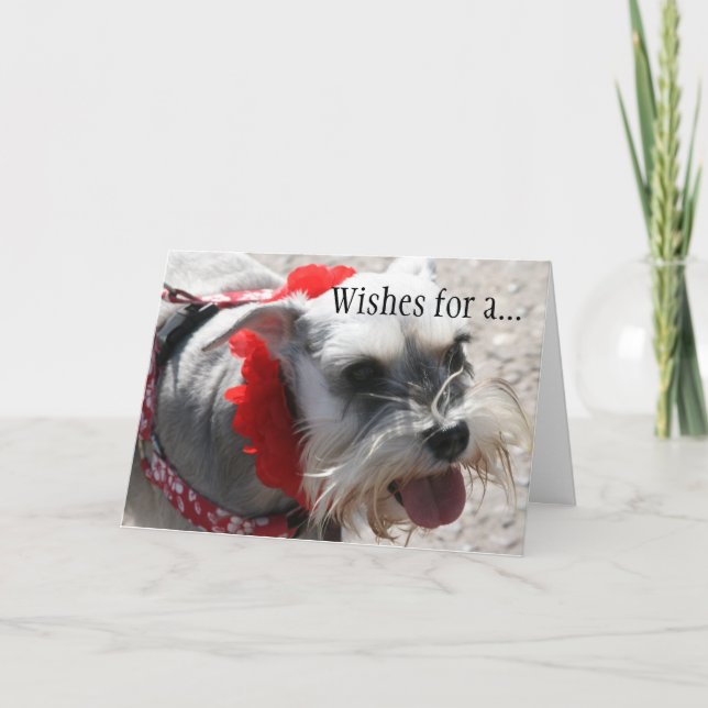 Cartão 50º aniversário (Frente)