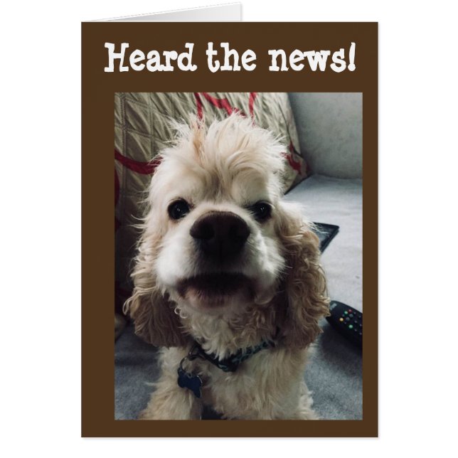 CARTÃO **50º ANIVERSÁRIO** HUMOR DE PUP (Frente)