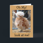 CARTÃO **50º ANIVERSÁRIO ME FEZ FLUSTER" FELIZ ANIVERSÁRI<br><div class="desc">ISTO SOBRE O CARTÃO DE COURO É MUITO BONITO. ESTA GALINHA ESTÁ DIZENDO AO SEU AMIGO OU MEMBRO DA FAMÍLIA PARA NÃO ESTAR TRISTE SE ELES ESTIVEREM "SOBRE A COLINA" PARA ELE OU ELA ESTIVEREM EM UM JOGO E TIVEREM UM DIA DE CABELO RUIM :) OBRIGADOS PARA PARAR POR UMA...</div>